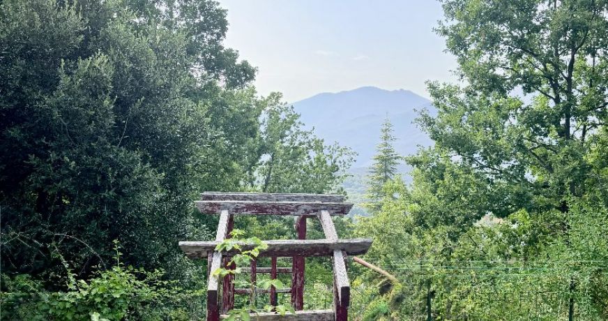 vente Maison Valle Di Rostino