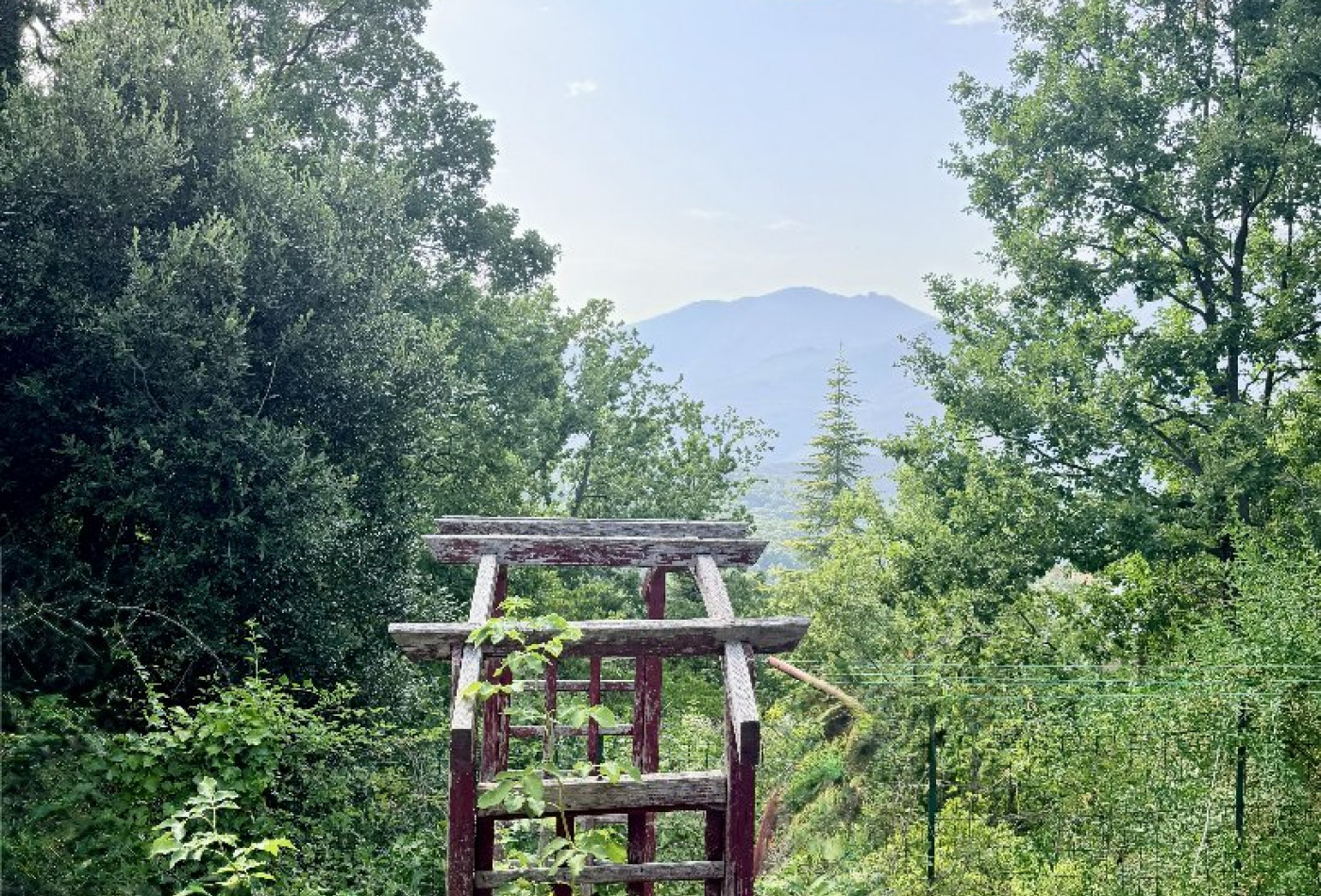vente Maison Valle Di Rostino - Photo 10