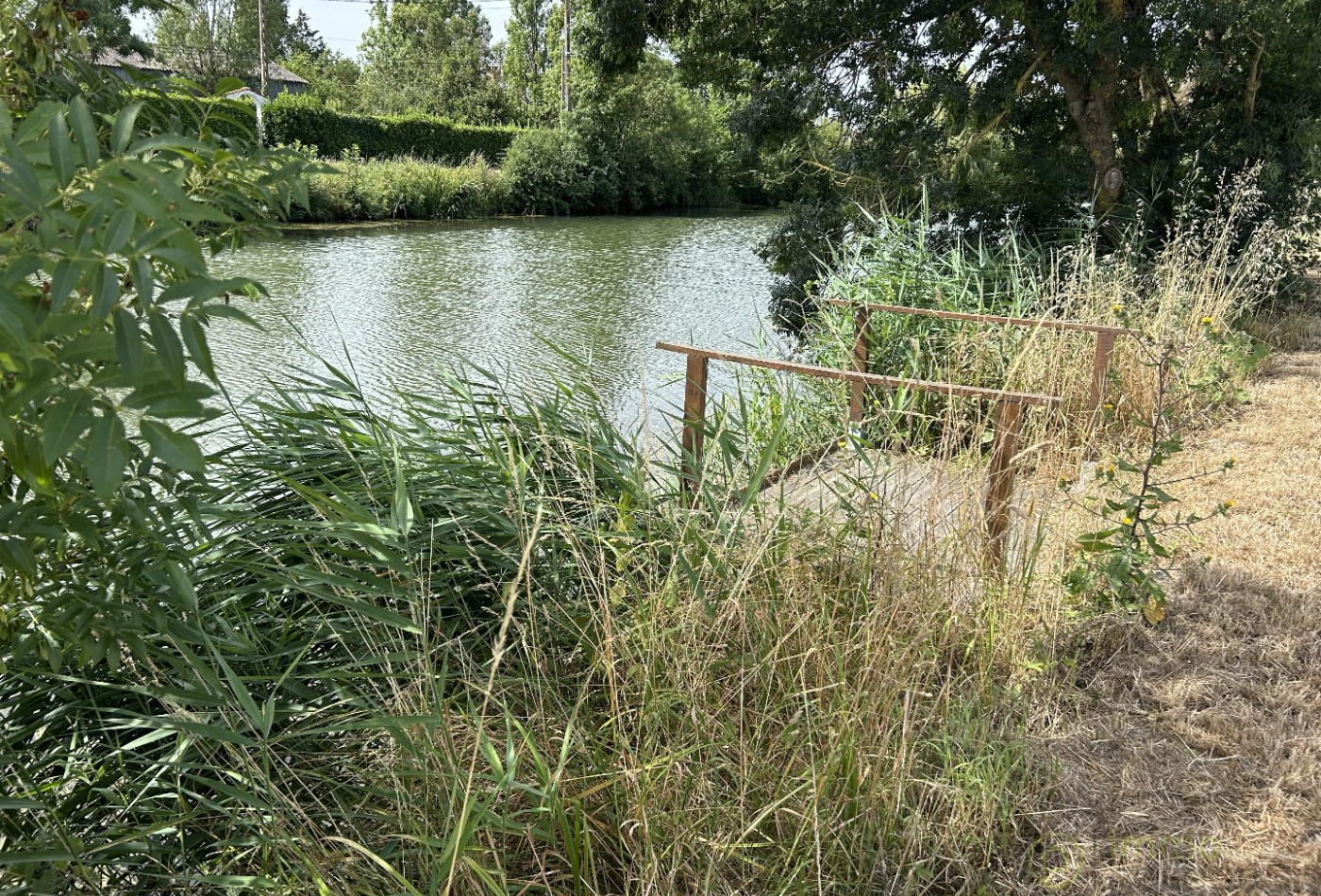 vente Maison Marans - Photo 5
