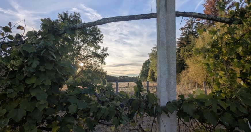 vente Maison et dépendances Montjay