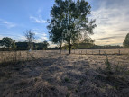 vente Maison et dépendances Montjay