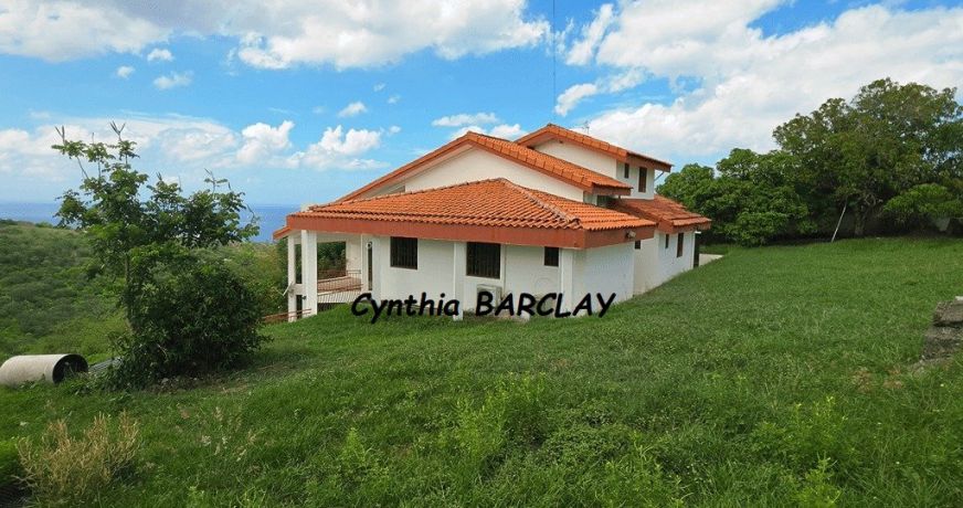 vente Villa d'architecte Le Carbet