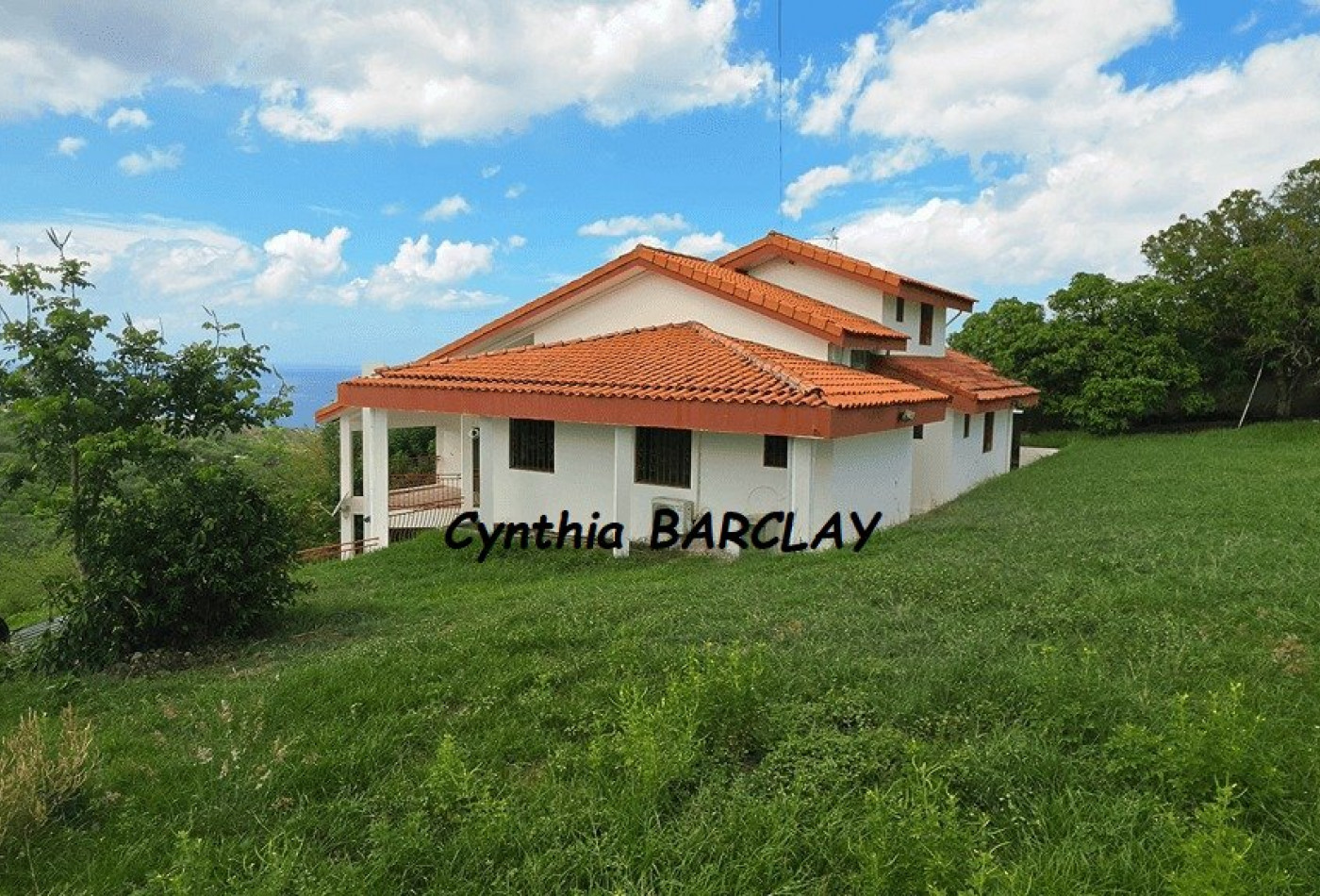 vente Villa d'architecte Le Carbet - Photo 5