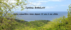 vente Villa d'architecte Le Carbet