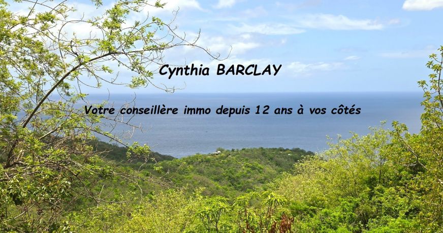 vente Villa d'architecte Le Carbet