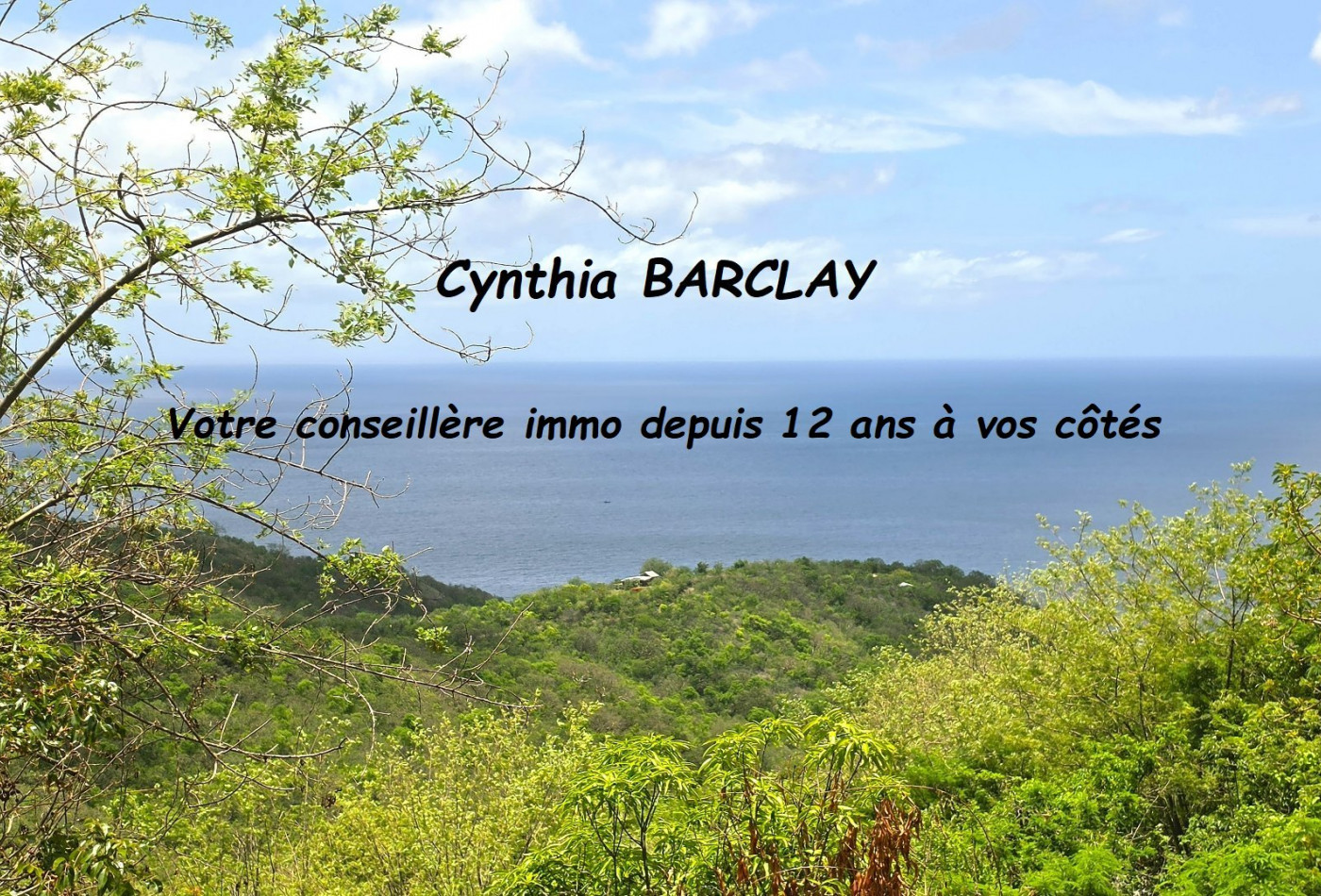 vente Villa d'architecte Le Carbet - Photo 1