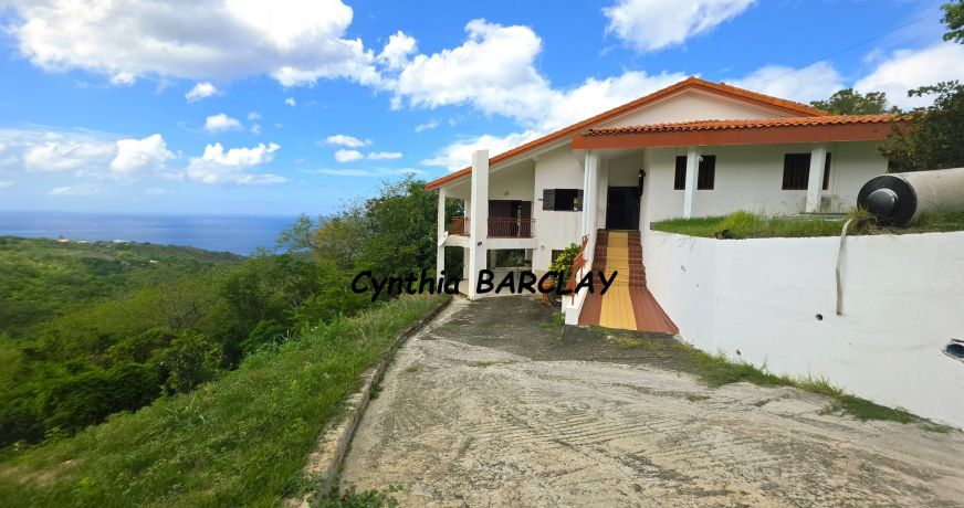 vente Villa d'architecte Le Carbet