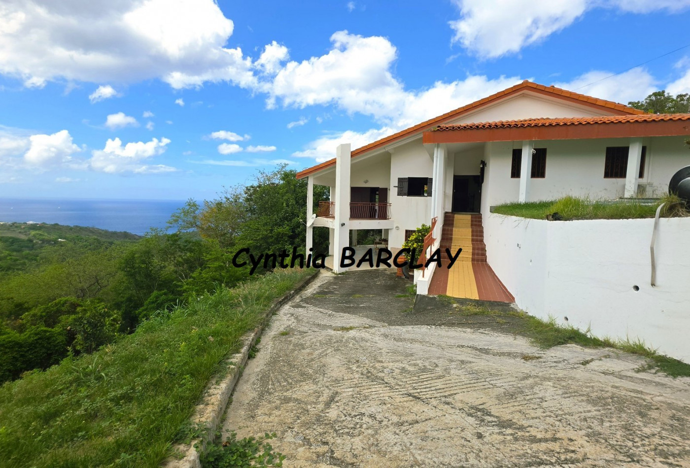 vente Villa d'architecte Le Carbet - Photo 3