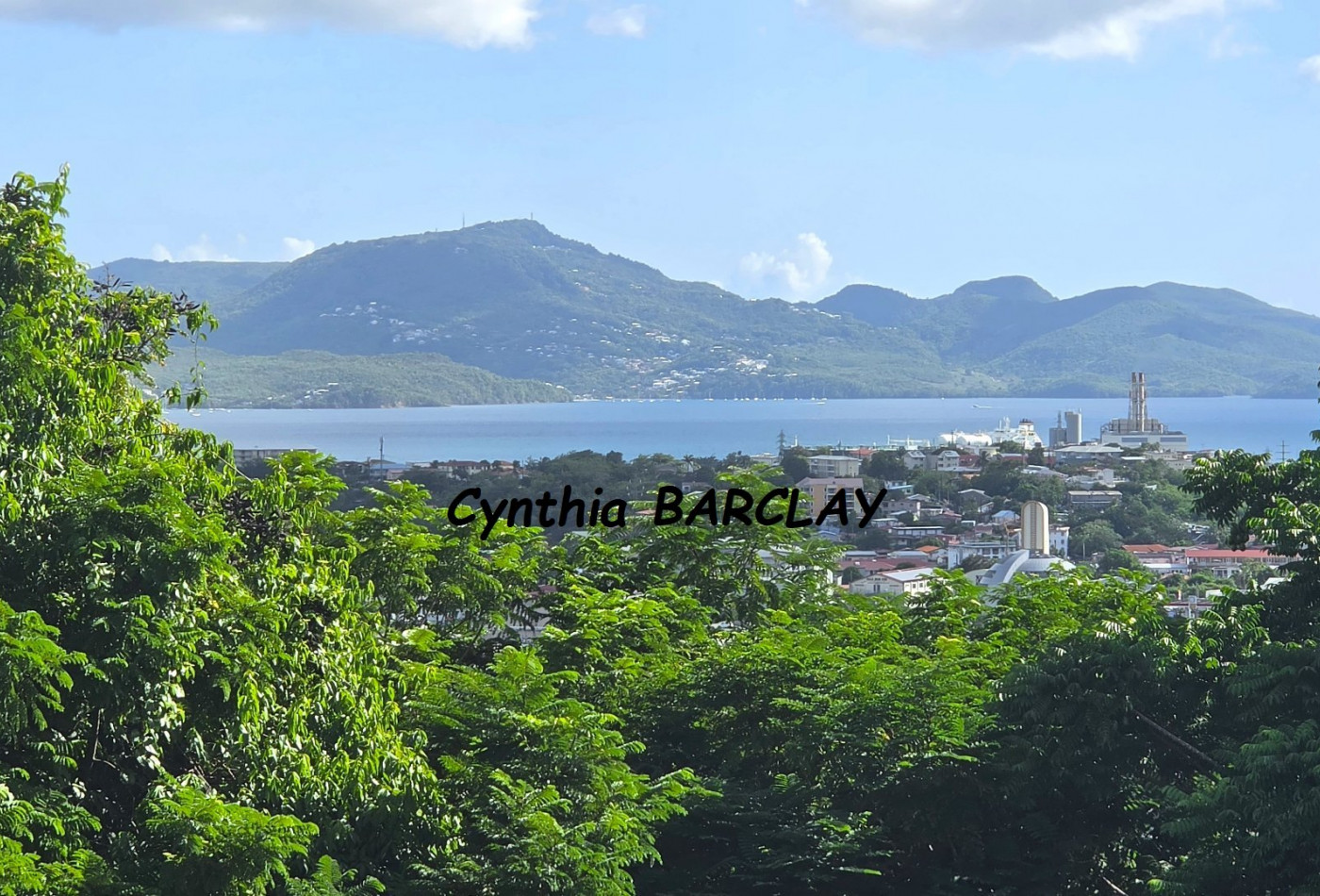 vente Maison Fort De France - Photo 2