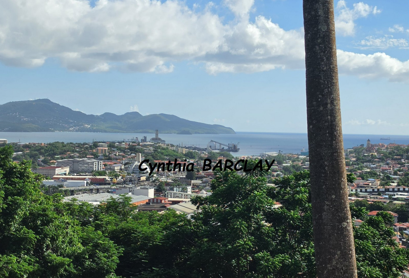 vente Maison Fort De France - Photo 3