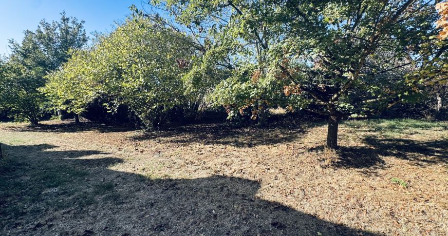 vente Maison Pouligny Saint Pierre