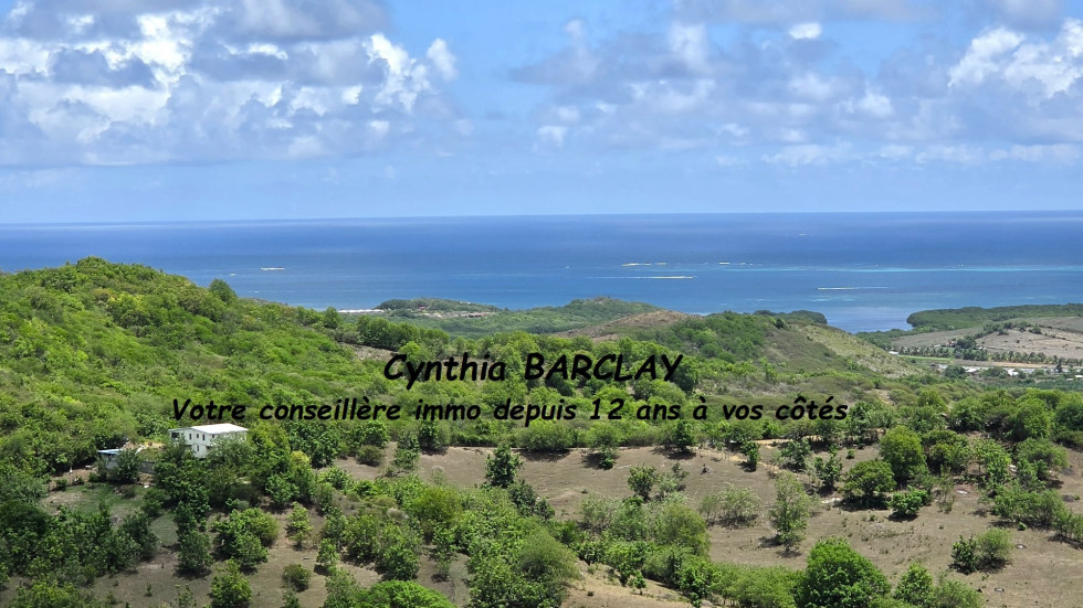 vente Immeuble Le Vauclin - Photo 1