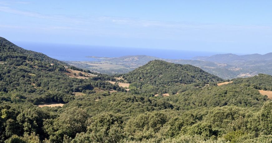 vente Maison Casalabriva