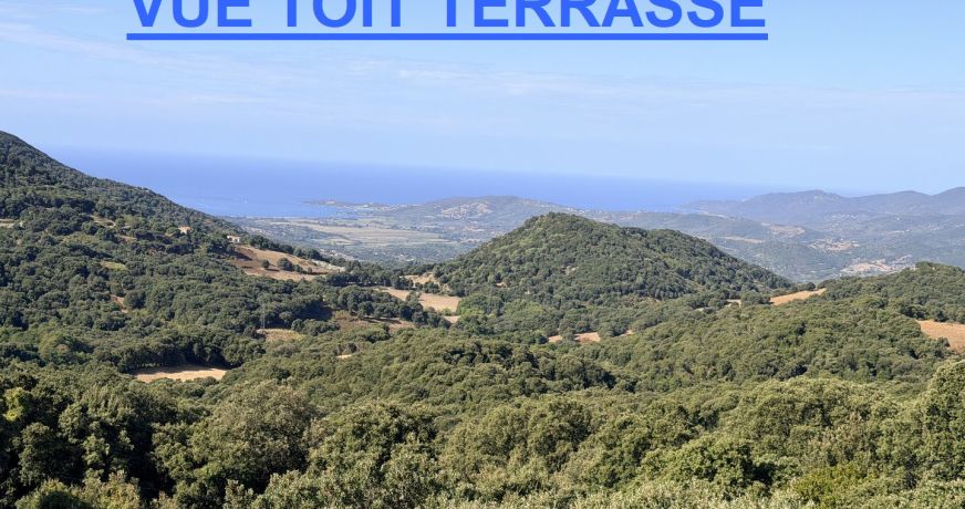 vente Maison Casalabriva