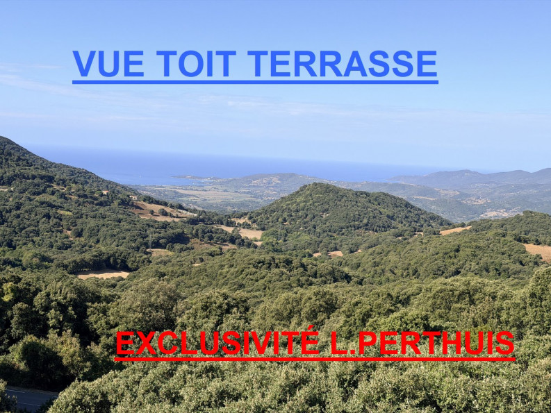 vente Maison Casalabriva - Photo 1