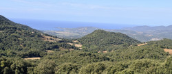 vente Maison Casalabriva