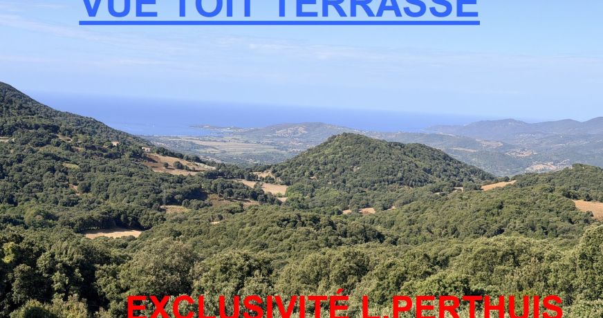 vente Maison Casalabriva