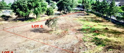 vente Terrain Corte