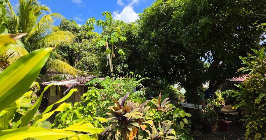 vente Maison Le Marin