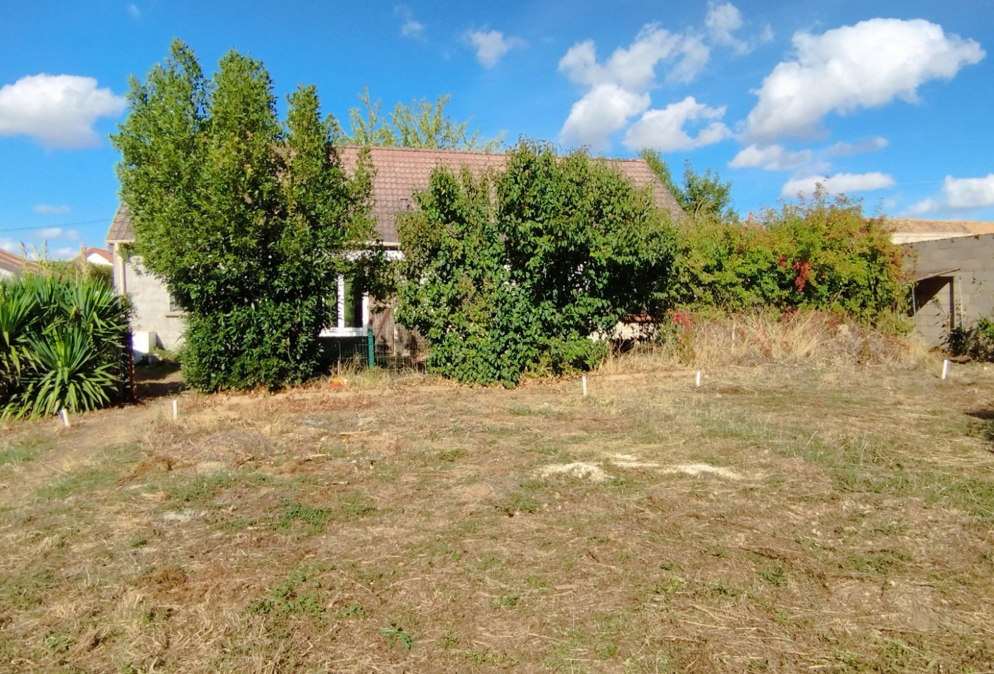 vente Maison Esmans - Photo 8