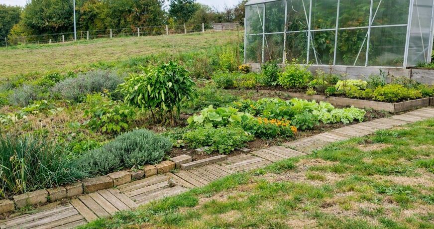 vente Maison Champeaux