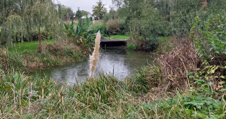 vente Maison Champeaux