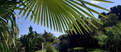 vente Maison Lucciana