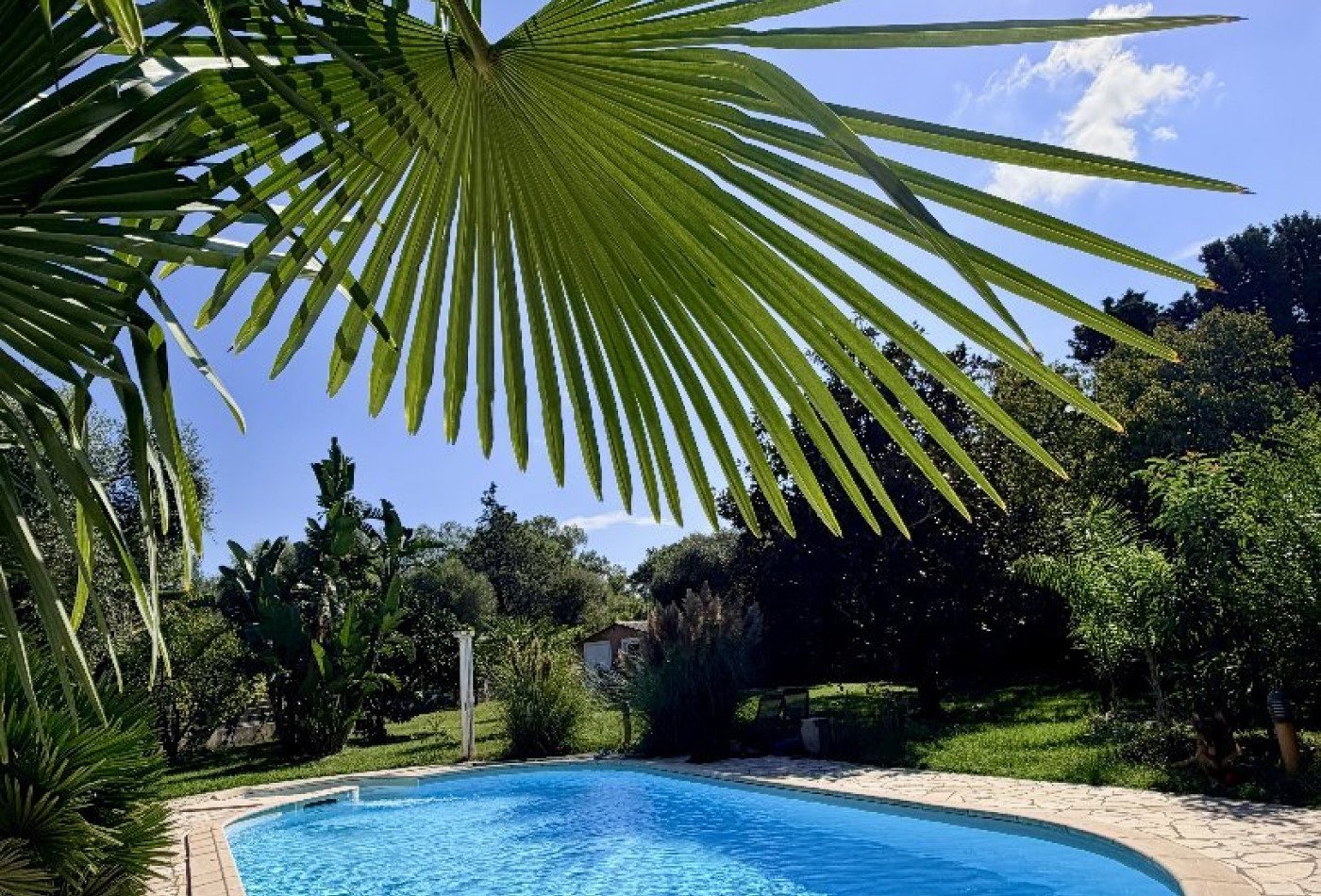 vente Maison Lucciana - Photo 5