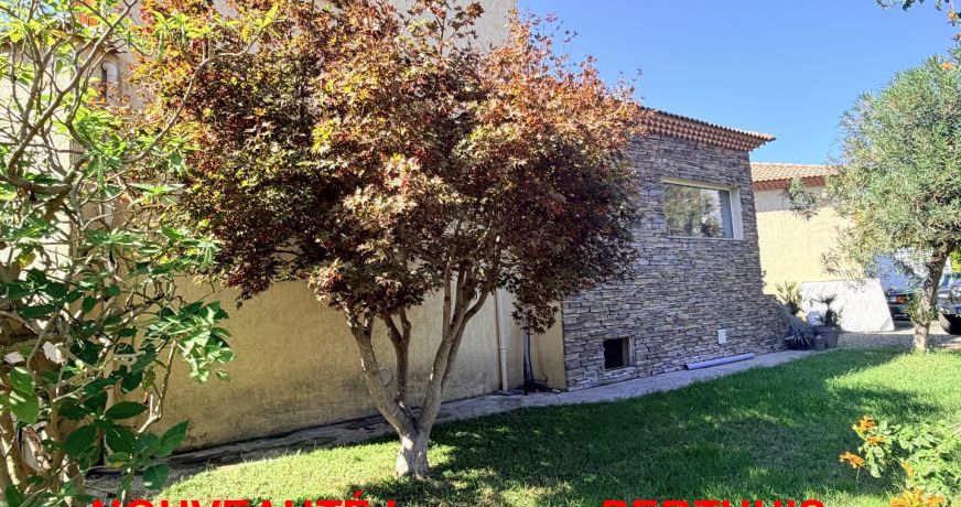 vente Maison Lucciana