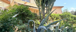 vente Maison Lucciana