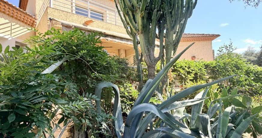 vente Maison Lucciana
