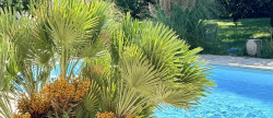 vente Maison Lucciana