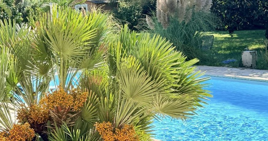 vente Maison Lucciana