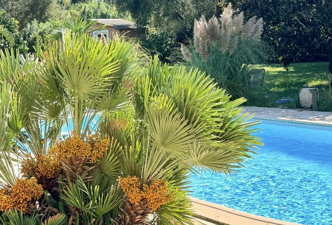 vente Maison Lucciana - Photo 8