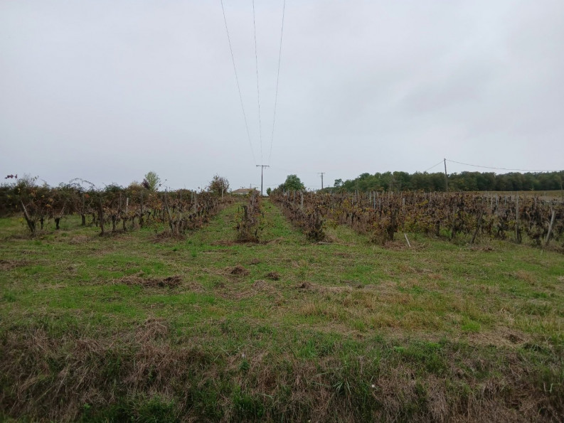 vente Maison Berson - Photo 9