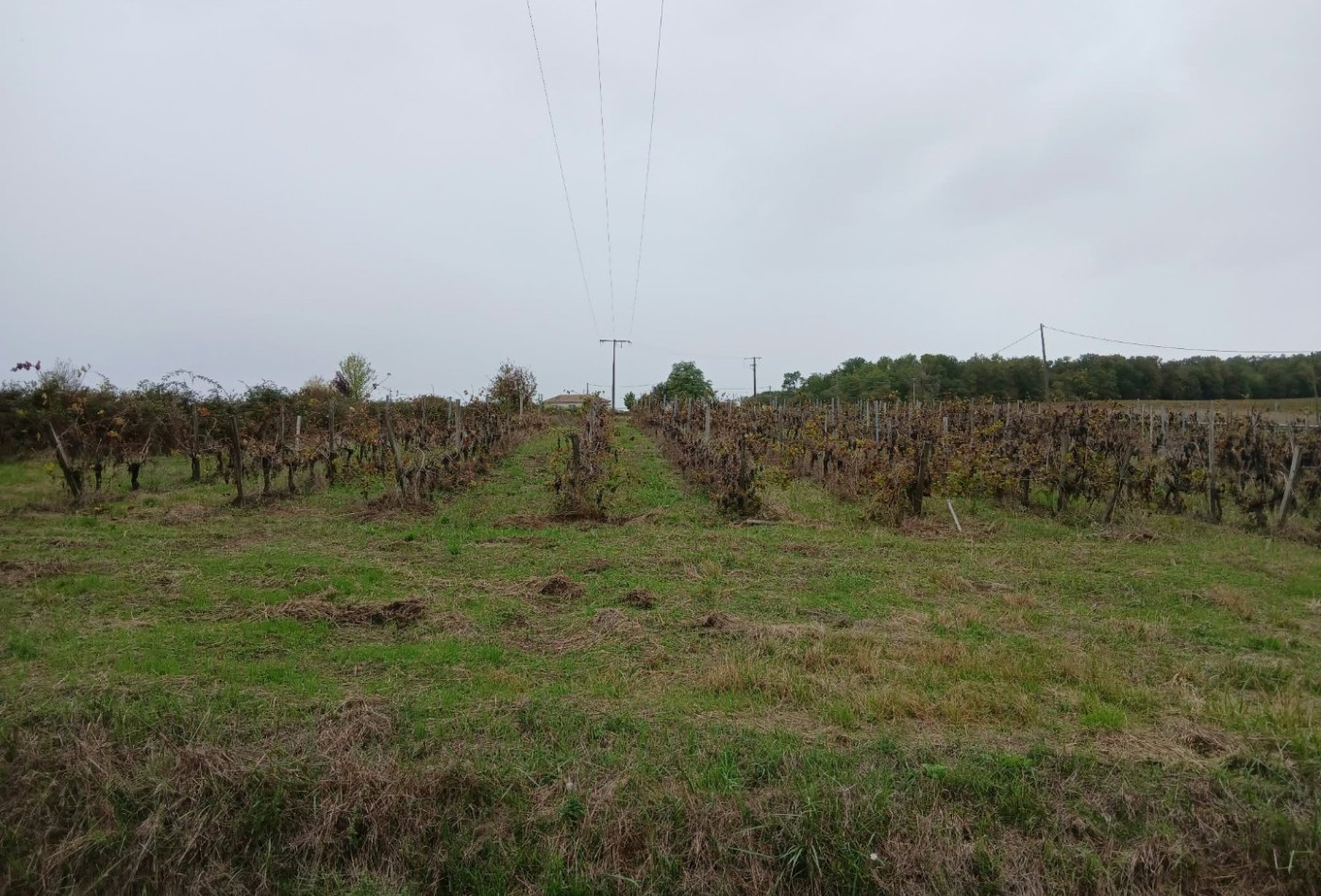 vente Maison Berson - Photo 9