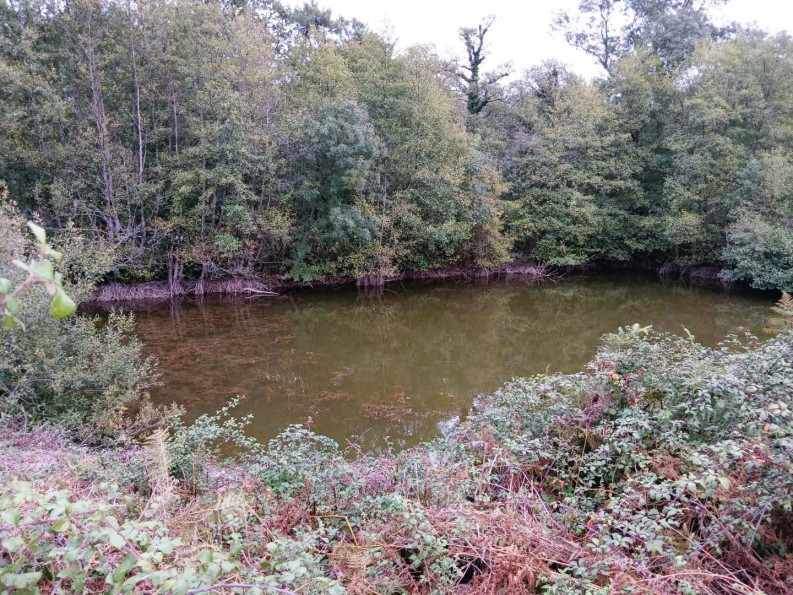 vente Maison Berson - Photo 2