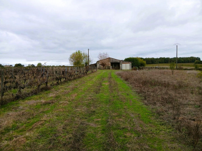 vente Maison Berson - Photo 4