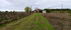 vente Maison Berson