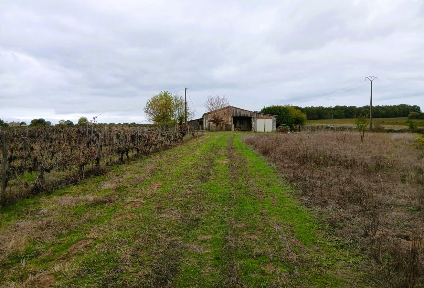 vente Maison Berson - Photo 4