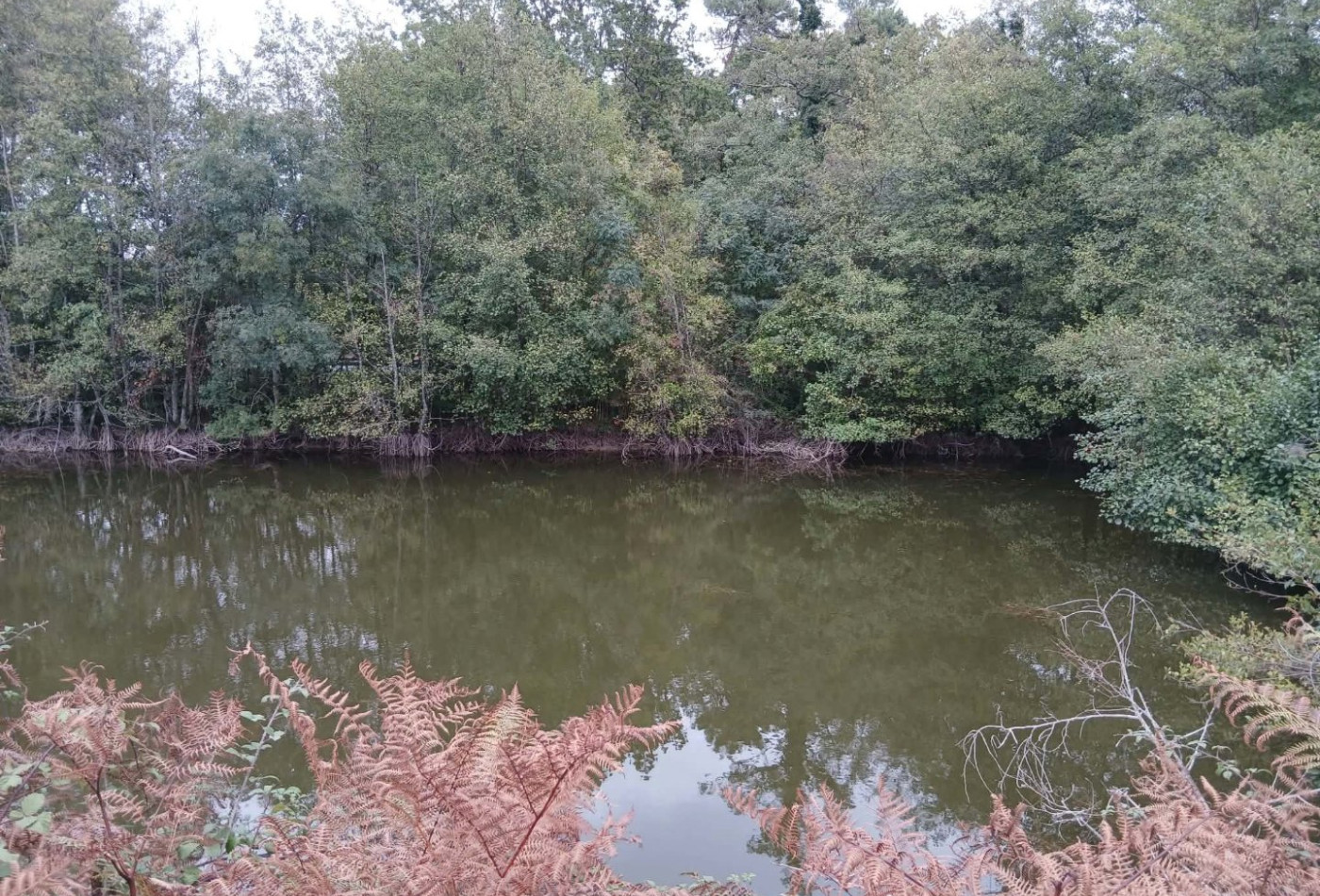 vente Maison Berson - Photo 6