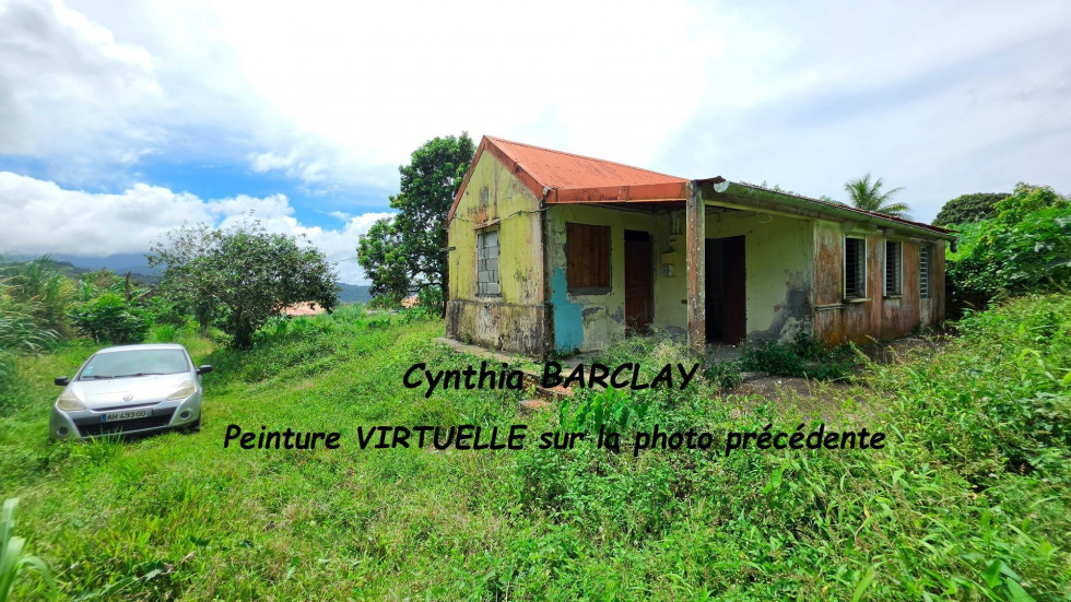 vente Terrain Le Morne Rouge - Photo 6