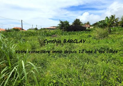 vente Terrain Le Morne Rouge