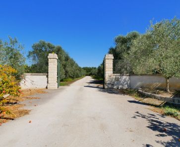 A vendre Marsillargues 3011917243 Berge immo
