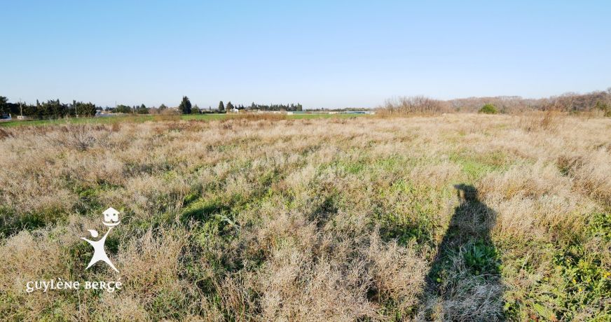 vente Terrain Le Cailar