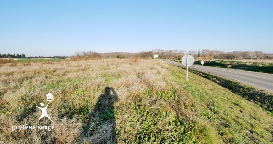 vente Terrain Le Cailar