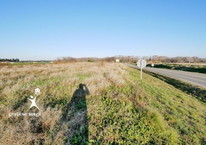 vente Terrain Le Cailar