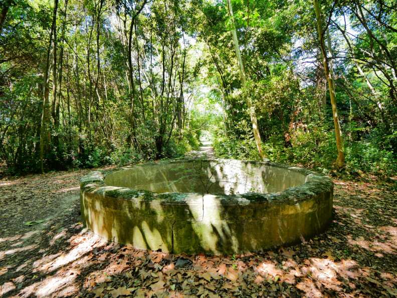 vente Mas Lunel - Photo 7