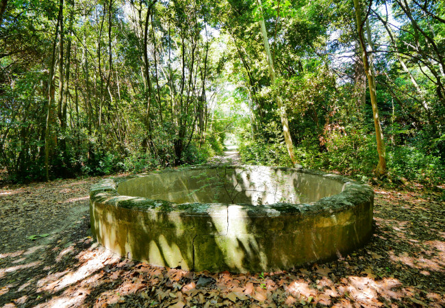 vente Mas Lunel - Photo 7