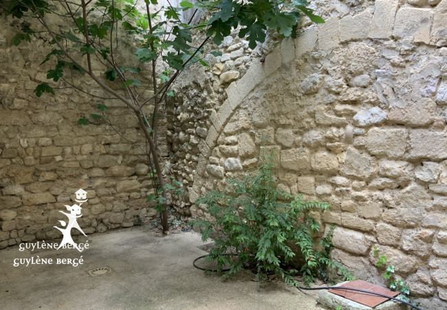 vente Immeuble Aimargues - Photo 6